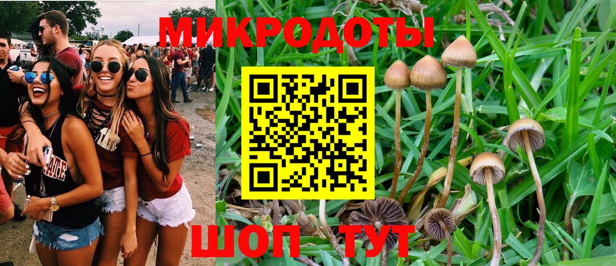 Галлюциногенные грибы Psilocybine cubensis  Вход с VPN  Галлюциногенные грибы прущие грибы  Артём 