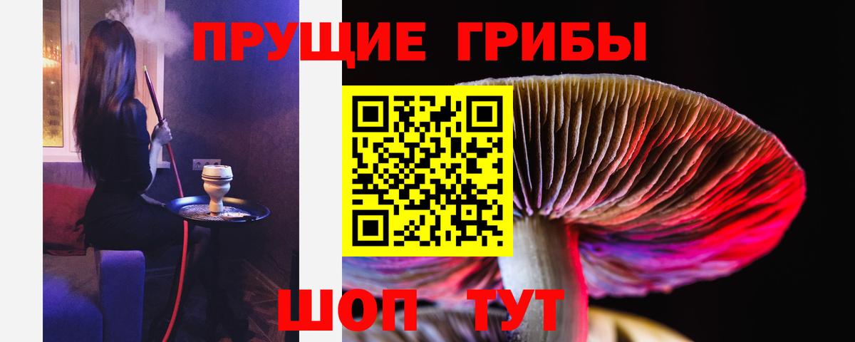 Псилоцибиновые грибы MAGIC MUSHROOMS Артём